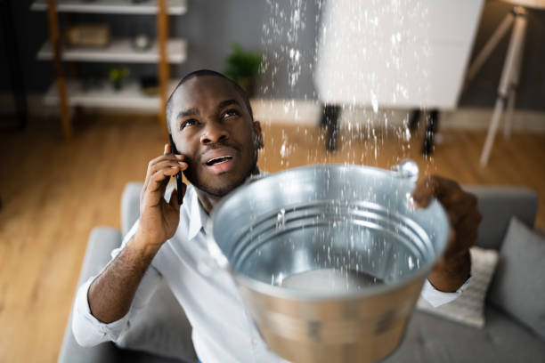 Best Flood damage cleanup  in Lake City, FL