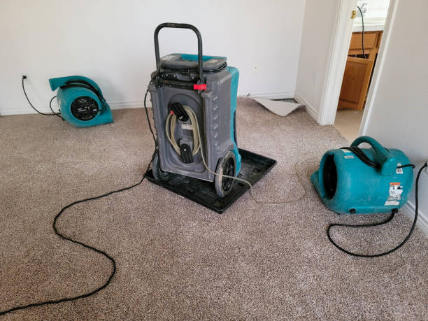 Best Water damage mitigation services  in Lake City, FL