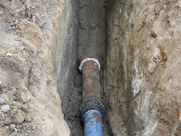 Best Basement water damage restoration  in Lake City, FL