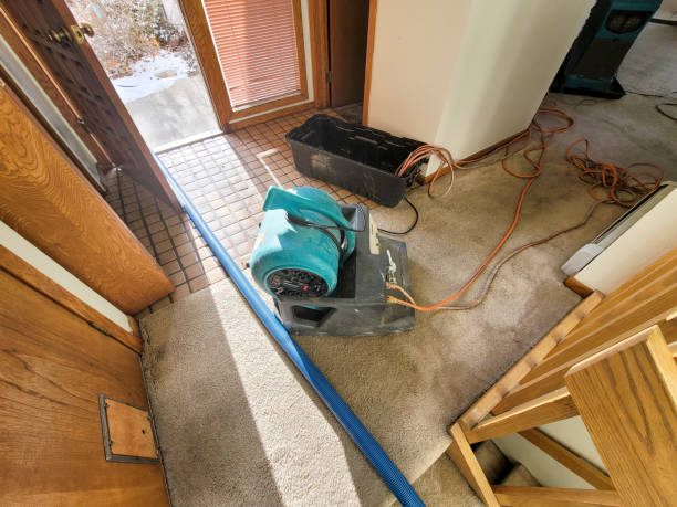 Best Local water damage restoration  in Lake City, FL