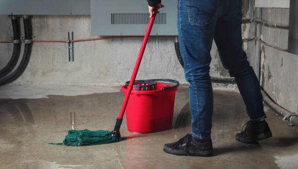 Best Flood restoration services  in Lake City, FL