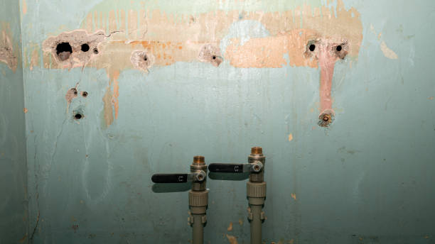 Best Mold removal after water damage  in Lake City, FL