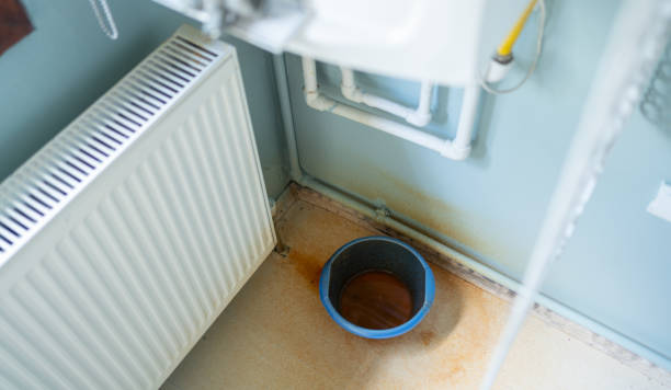 Best Flooded house restoration  in Lake City, FL