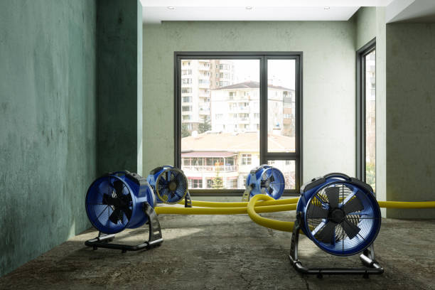 Best Water damage contractors near me  in Lake City, FL