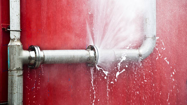 Best Water damage restoration near me  in Lake City, FL